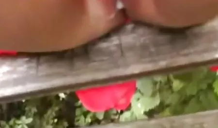 زنان فیلم سکس با مادرزن