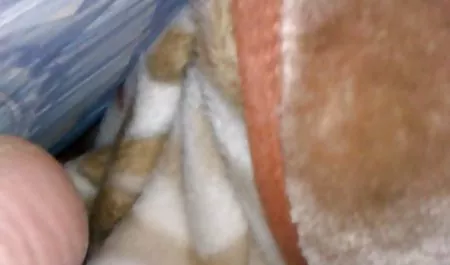 بازی کردن مادر برازرس
